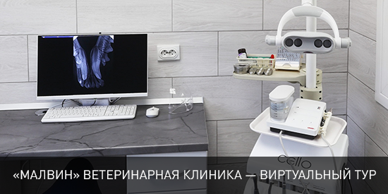 «Малвин» ветеринарная клиника в Иваново